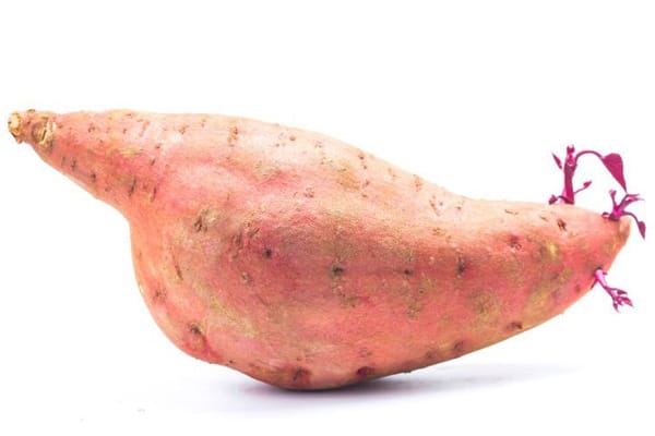 how to tell if sweet potatoes are bad